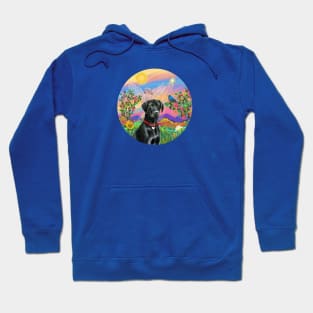 Sky Angel Rainbow Bridge with a Black Labrador Retriever Hoodie